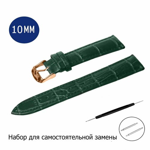 Ремешок AXIVER, фактура под рептилию, диаметр шпильки 1.5 мм, размер 24мм, темно-коричневый