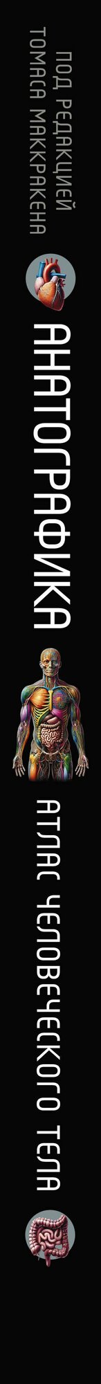 Анатографика — фото 1