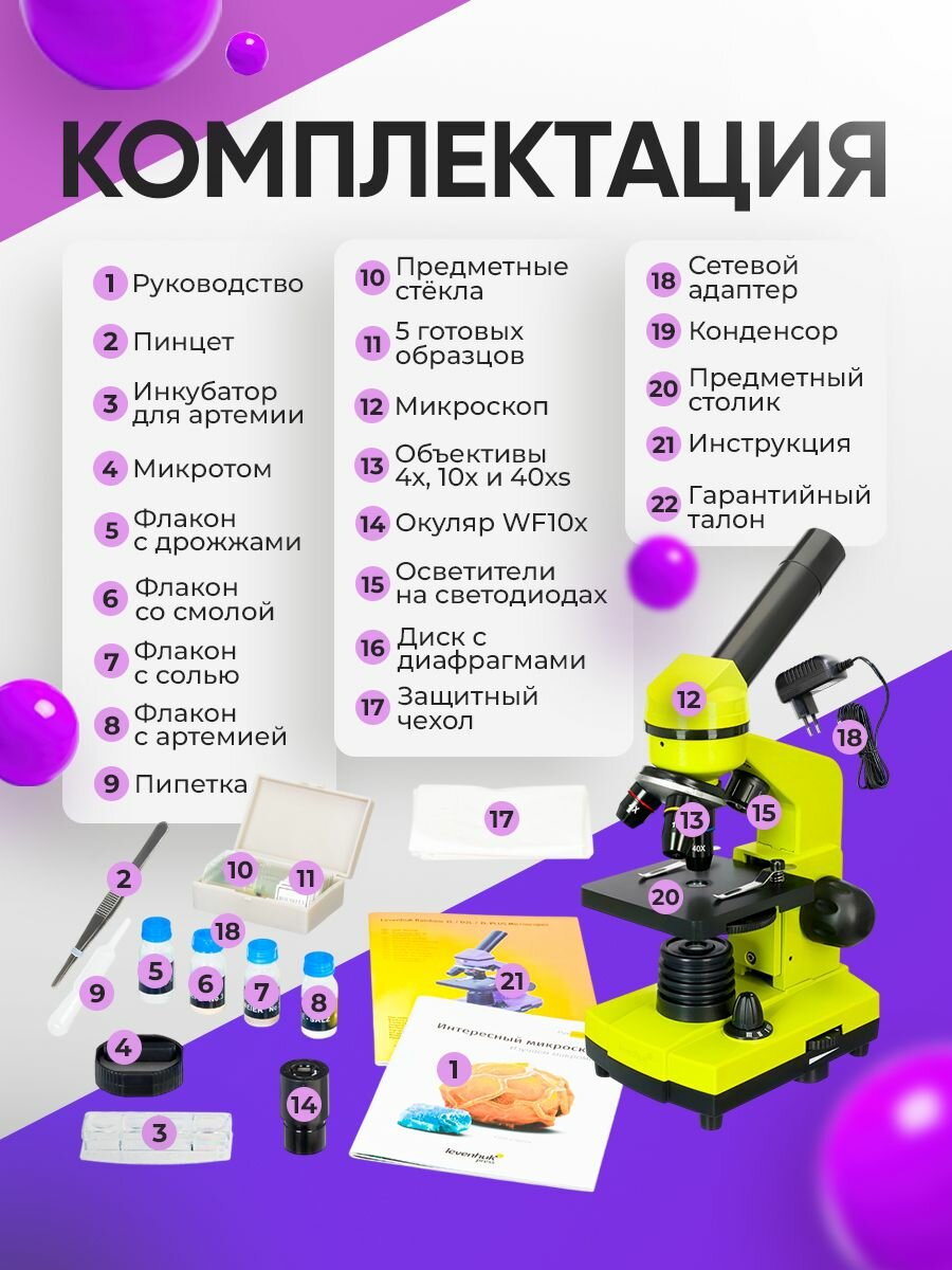Микроскоп детский Levenhuk Rainbow 2L Lime/Лайм — фото 1