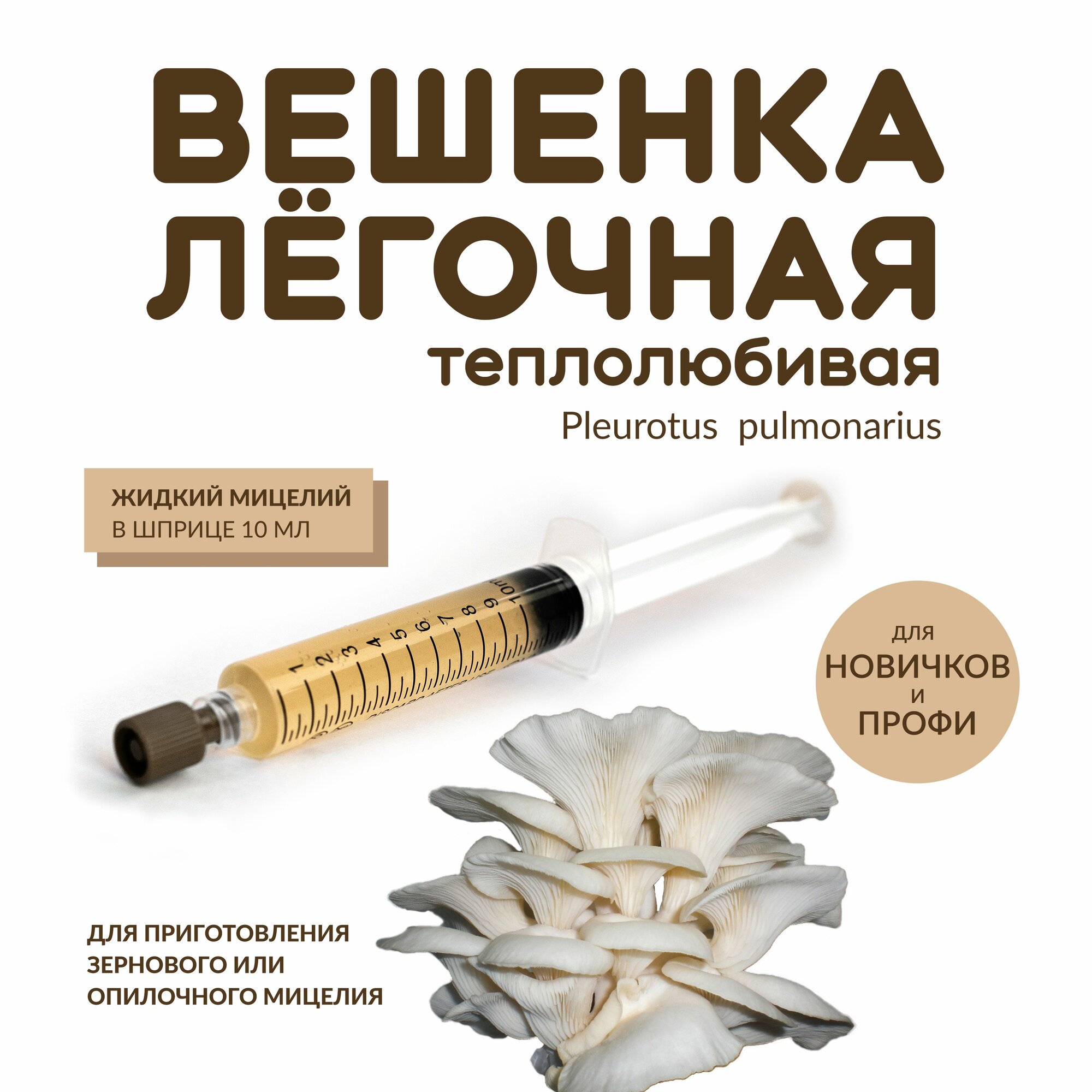 Жидкий мицелий Вёшенки лёгочной