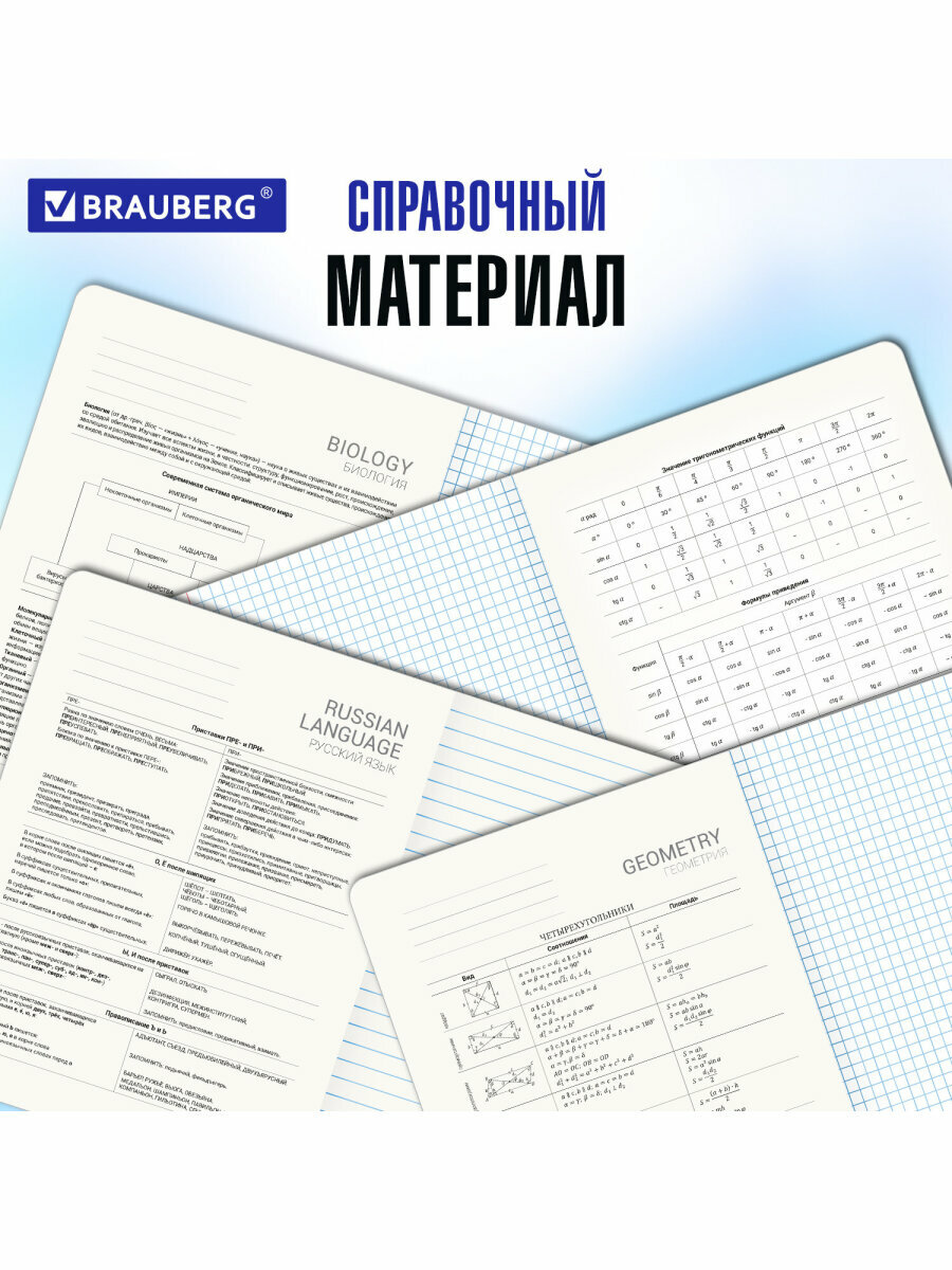 Предметные тетради 48 листов набор A5 в клетку и линейку 12 штук, черные, матовая ламинация, Brauberg Minimal, 404831 — фото 1