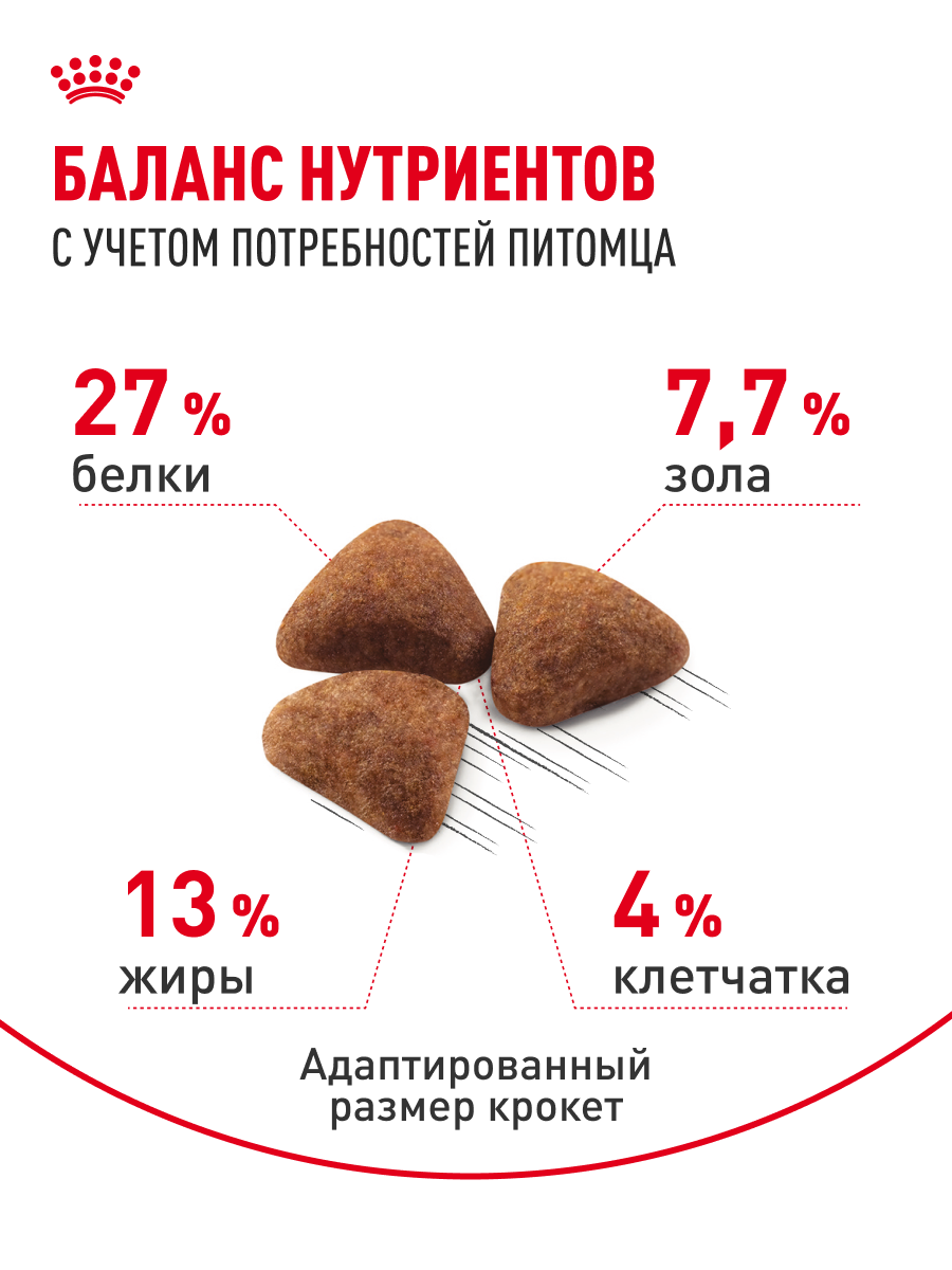 Сухой корм для кошек Royal Canin Indoor 27 для живущих в помещении, 0,4 кг — фото 1