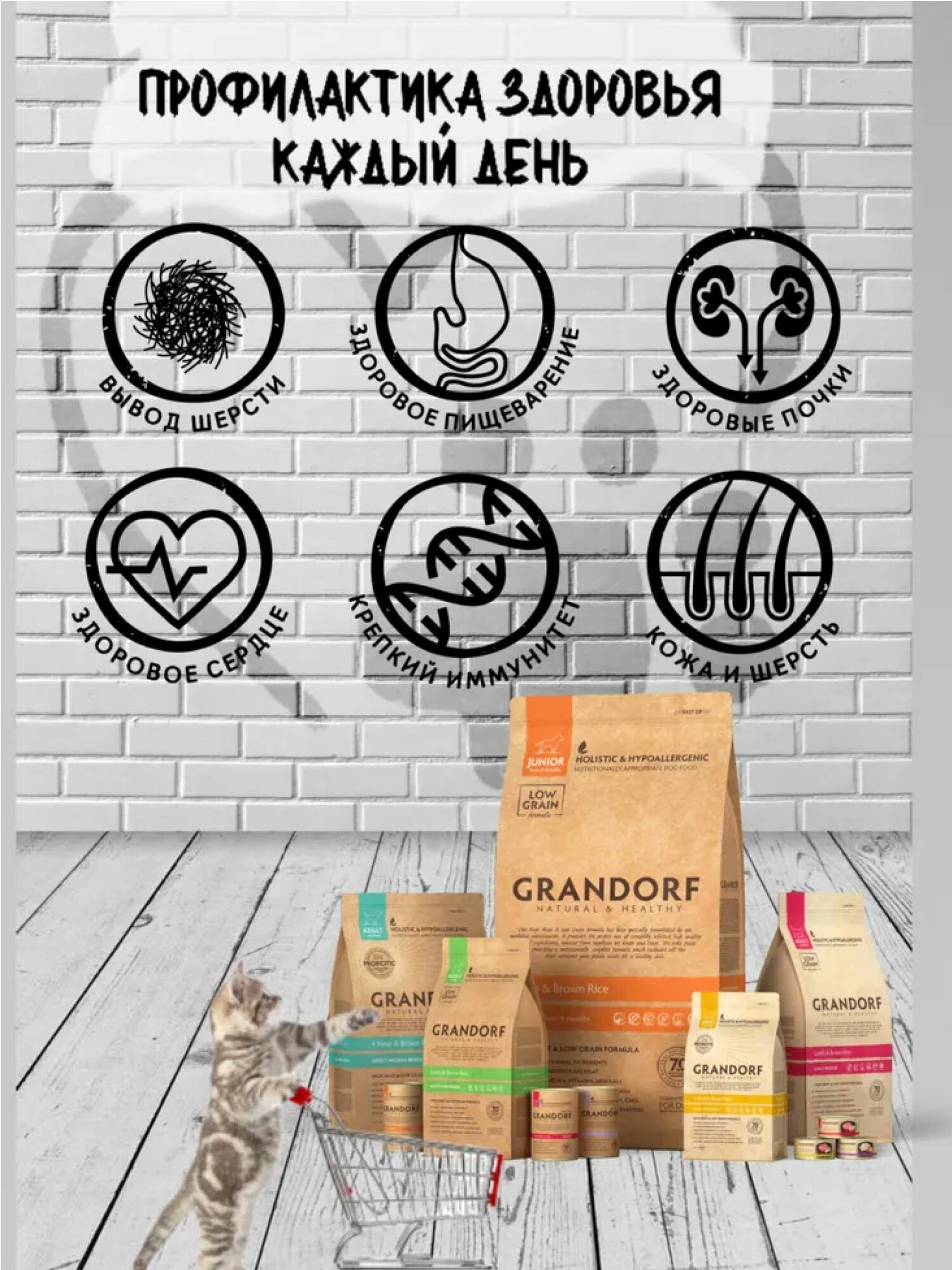 Корм GRANDORF Белая рыба с индейкой Indoor 2кг. Для кошек от 1 года с проблемной кожей и шерстью или склонных к аллергии. С пробиотиками. — фото 1
