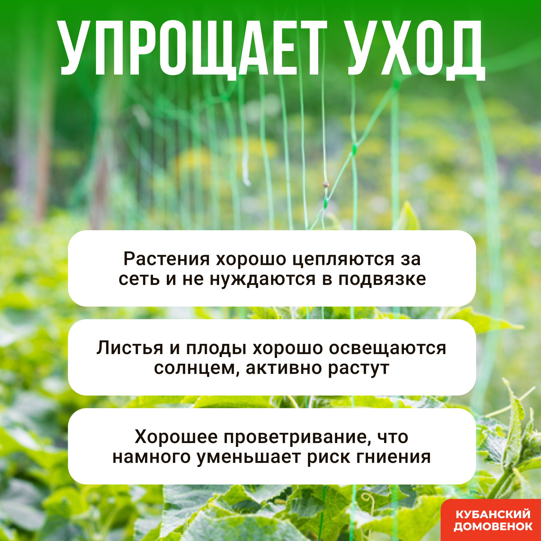 Сетка шпалерная, размер ячеек 17смх15см — фото 1