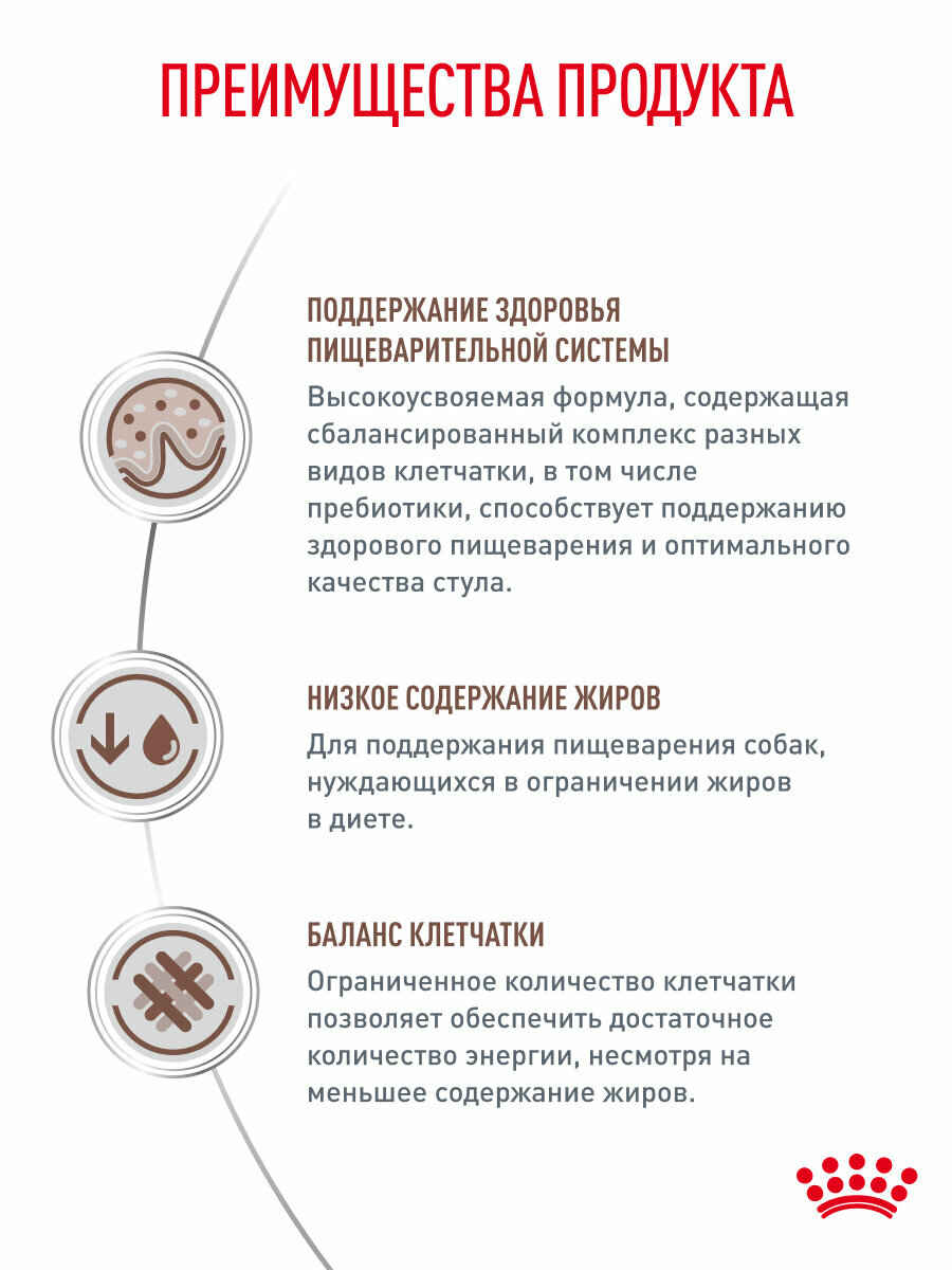 Сухой корм для собак Royal Canin Gastrointestinal Low Fat для мелких пород при склонности к избыточному весу, 3 кг — фото 1