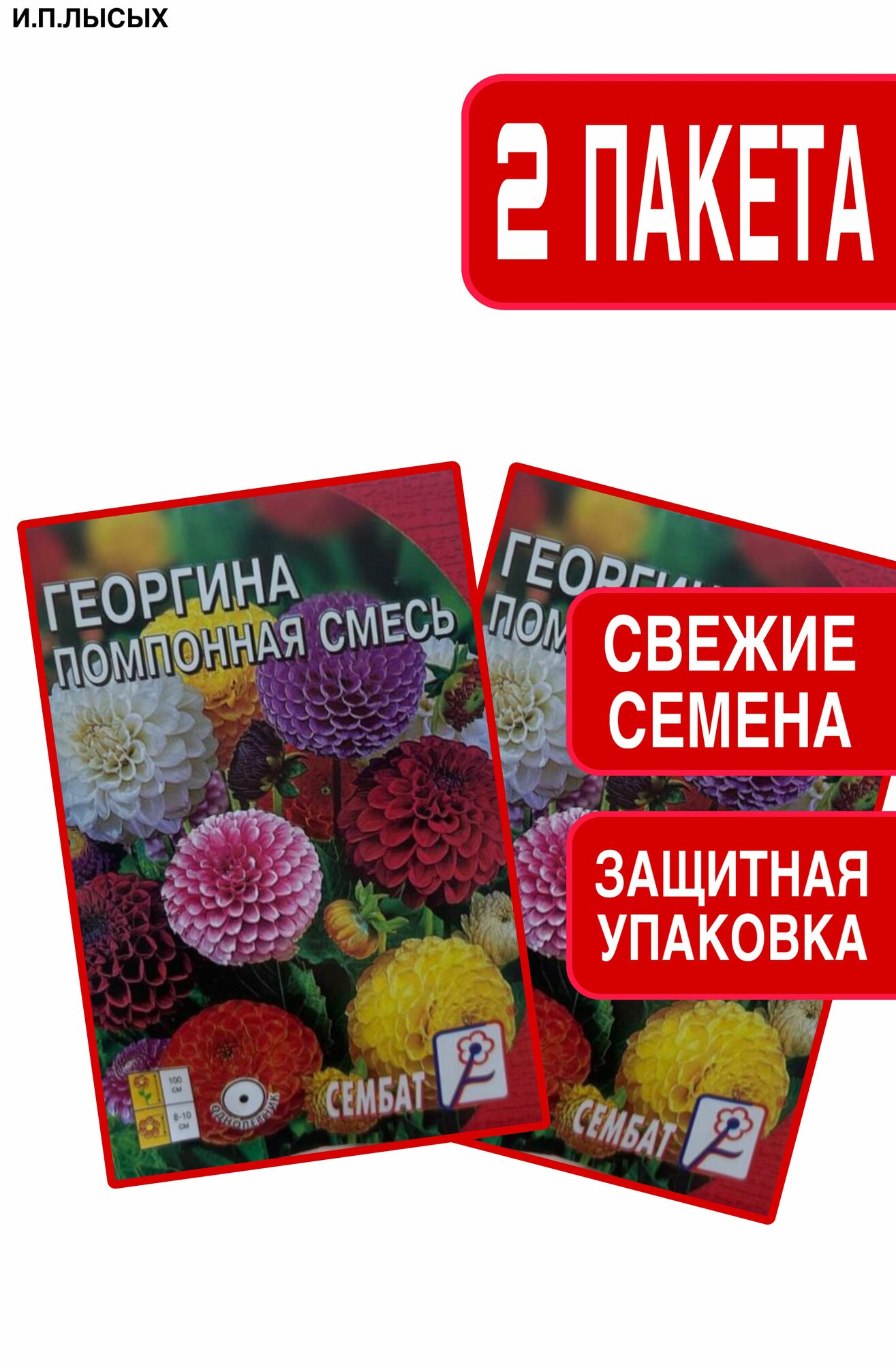 Семена Георгина 