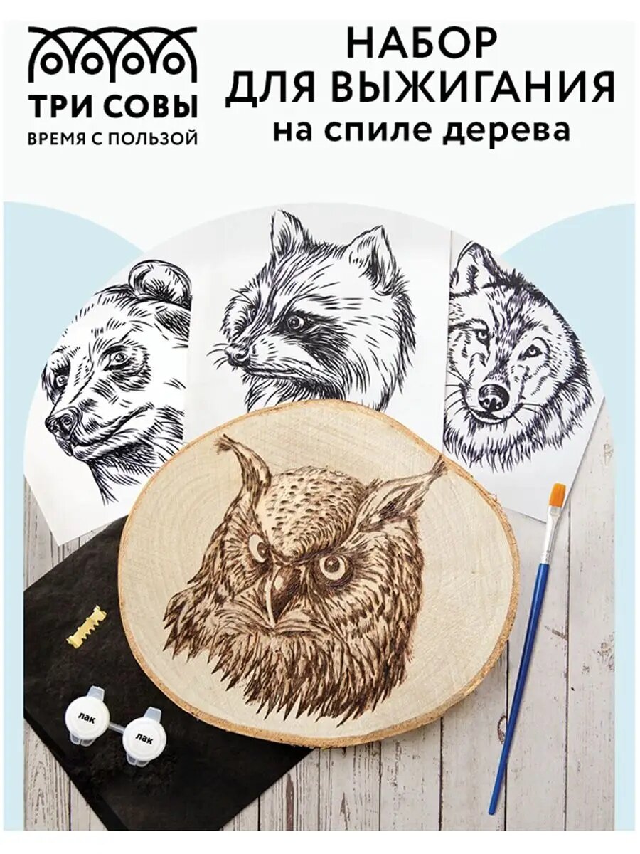 Набор для выжигания на спиле дерева ТРИ совы "Обитатели леса" диаметр 15см