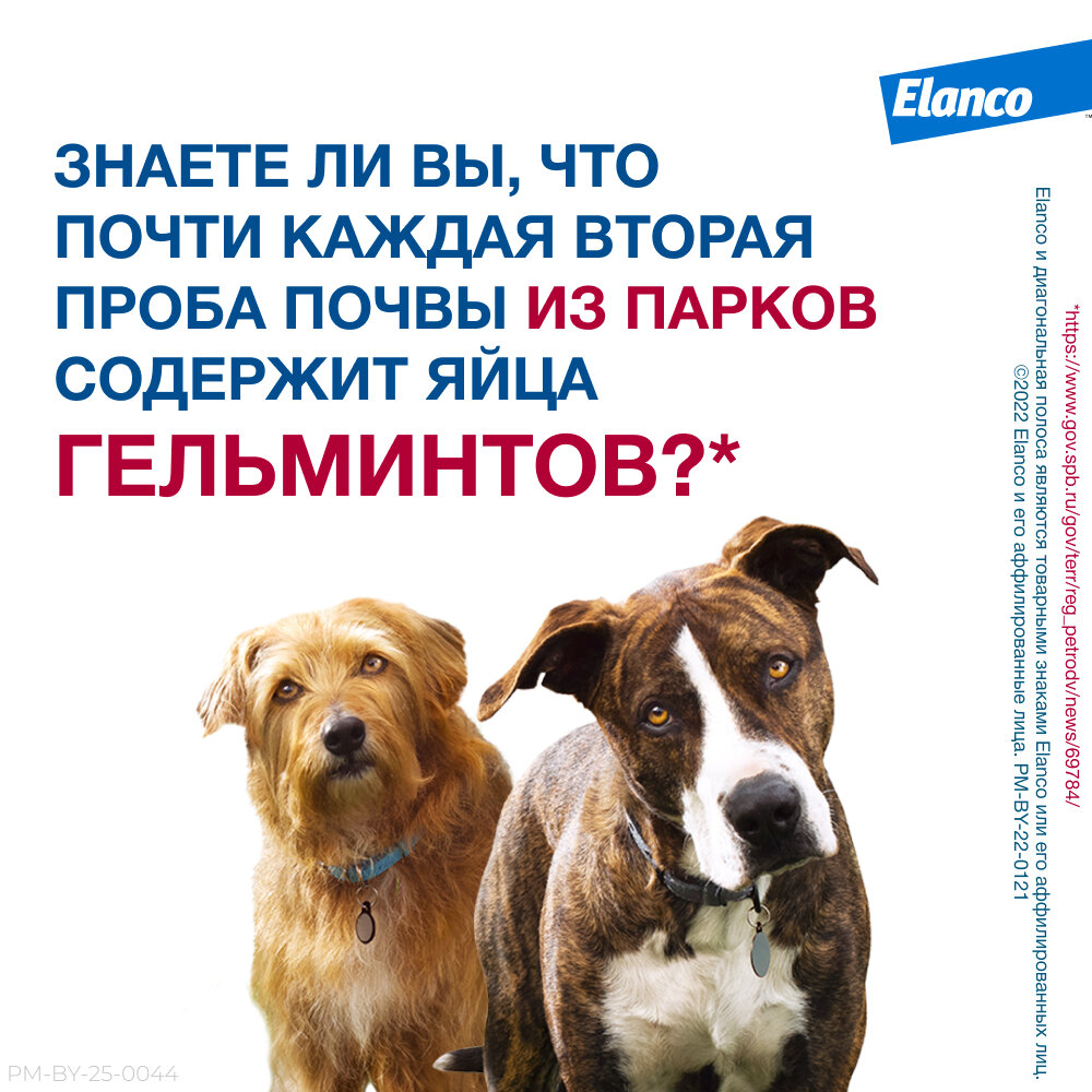 Мильбемакс (Elanco), таблетки от гельминтов для крупных собак – 2 таблетки — фото 1