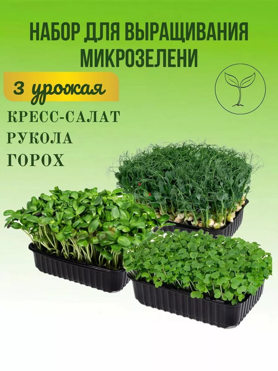 Набор для выращивания Микрозелени
