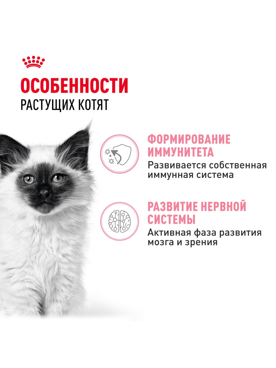 Влажный корм Royal Canin Kitten Instinctive пауч для котят (кусочки в соусе) Птица, 85 г х 28 шт. — фото 1