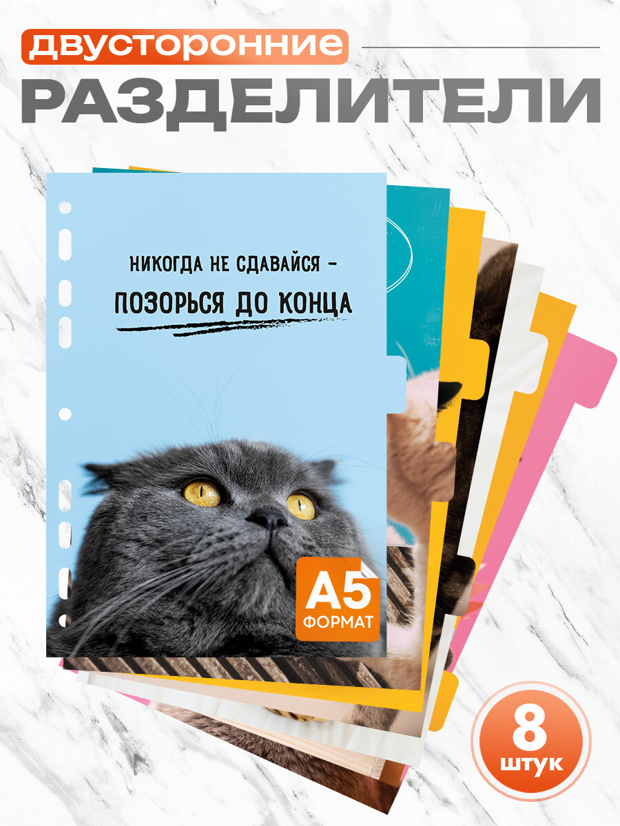 Разделители для тетради на кольцах А5 Милые котики, набор 8 шт, универсальная перфорация
