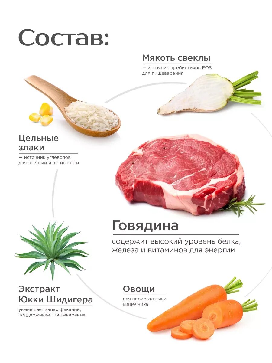 Корм сухой для взрослых собак крупных пород, премиум полнорационный сбалансированный, с говядиной, 2,5 кг, QUATTRO — фото 1