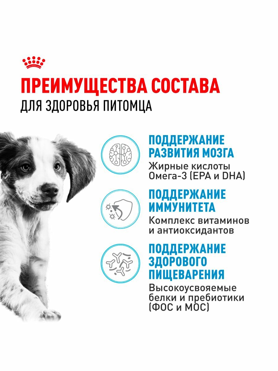 Сухой корм Royal Canin Medium Puppy для щенков средних пород Птица, 3 кг. — фото 1