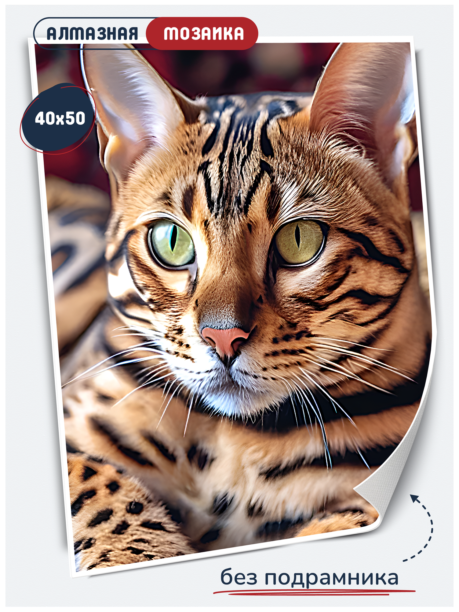 Алмазная мозаика без подрамника 
