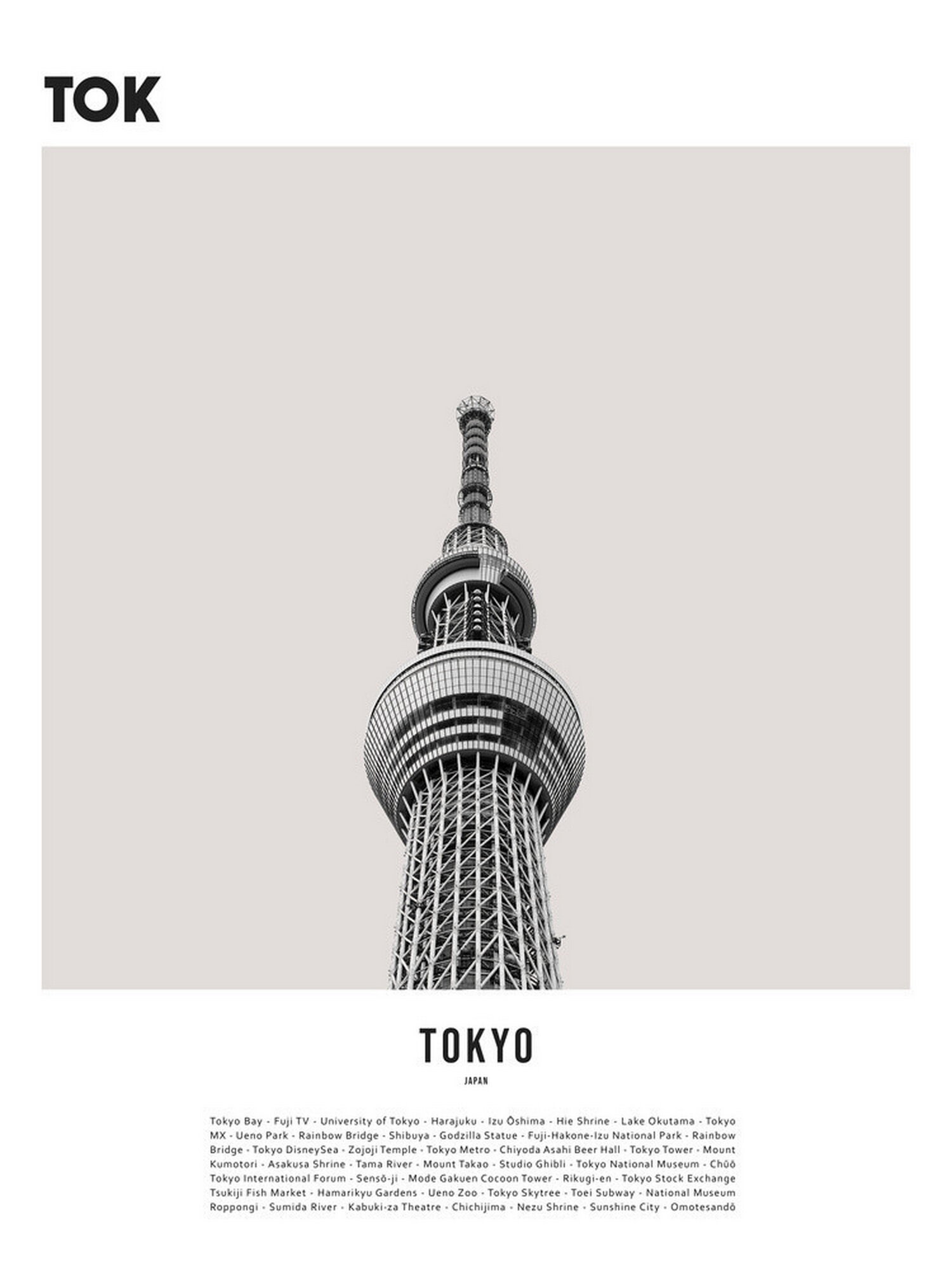 Плакат постер Токио: Skytree на фоне чёрно-белого мегаполиса на бумаге размер 21х30см