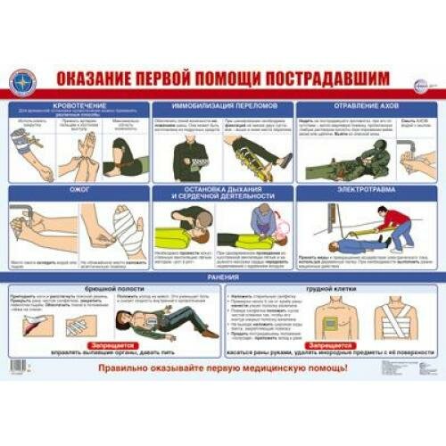 Плакат А2 Оказание первой помощи пострадавшим ламинированный 6+ ПЛ-016007