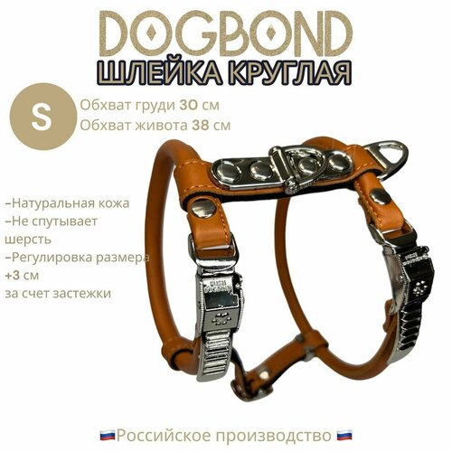 Шлейка Dogbond круглая для шпицев и длинношерстных пород собак