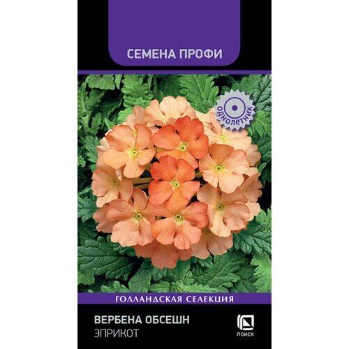 Семена Вербена Обсешн Эприкот 10шт Одн 20см (Поиск) Семена Профи