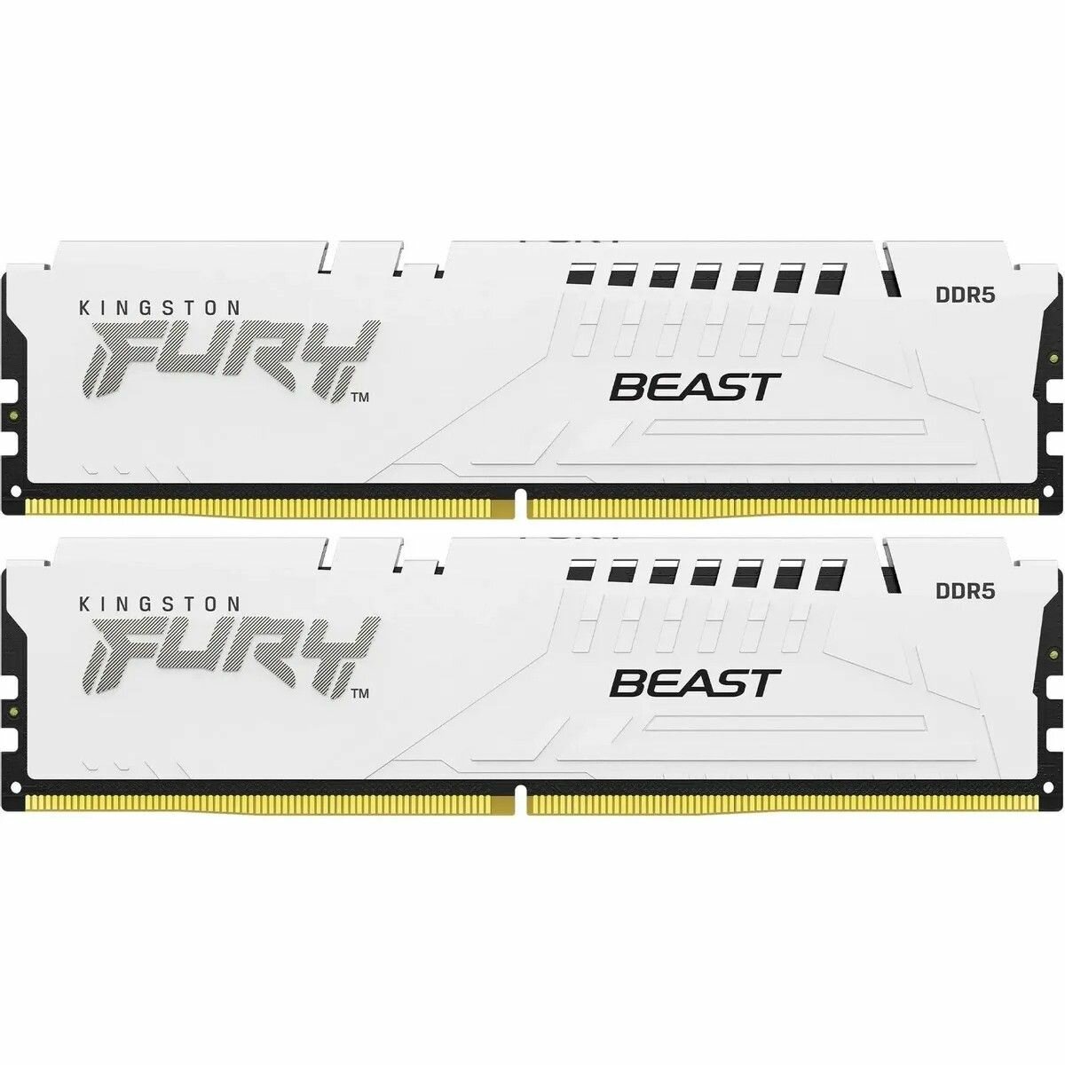 Модуль памяти Kingston KF552C36BWEK2-32