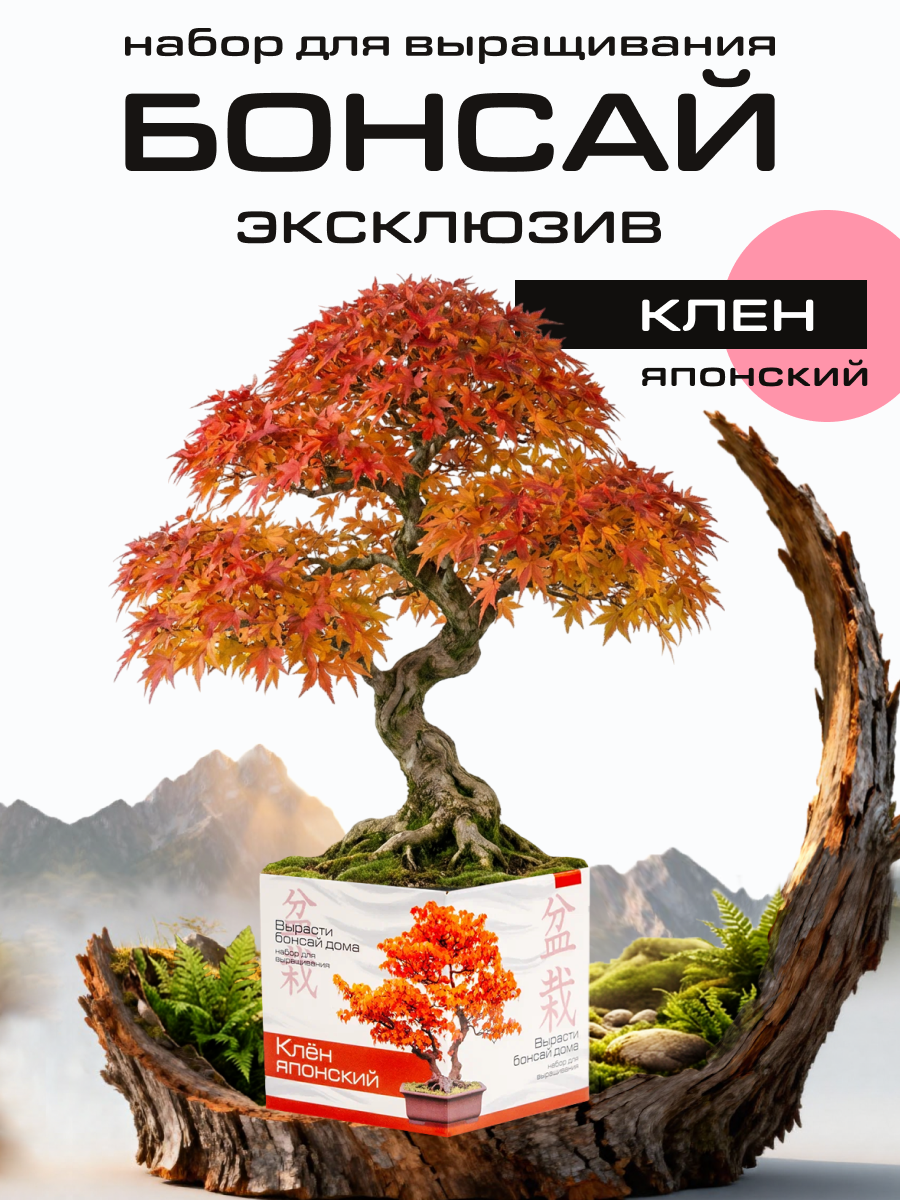 Набор для выращивания "Вырасти бонсай дома. Клен японский"