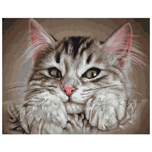 картина по номерам кот под грибом 40x50 см Картина по номерам Кот Васька, 40x50 см