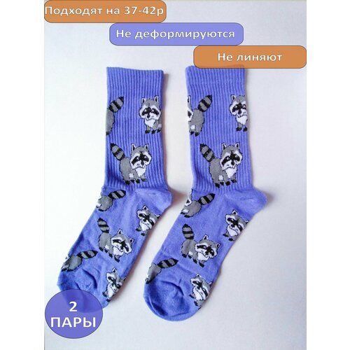 Носки Happy Frensis, 2 пары, размер 38/41, фиолетовый носки happy frensis 2 пары размер 38 41 бирюзовый