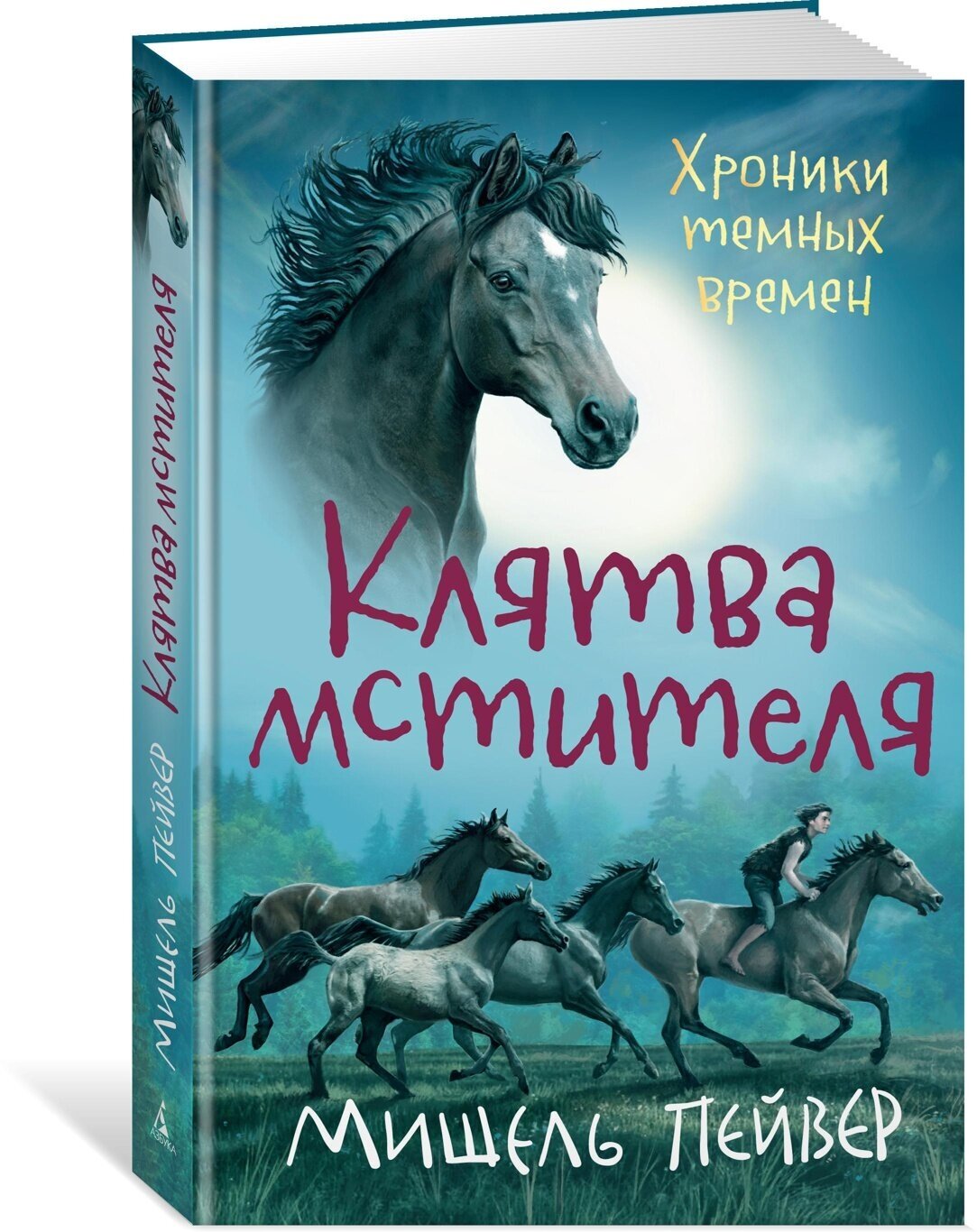 Хроники темных времен. Кн. 5. Клятва мстителя - фото №1