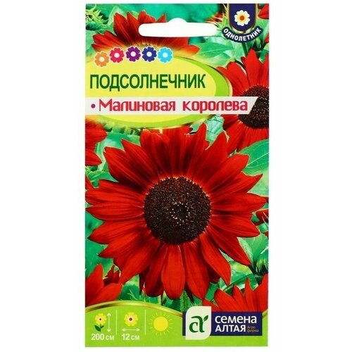 Семена цветов Подсолнечник Малиновая Королева 0,5 г 8 упаковок
