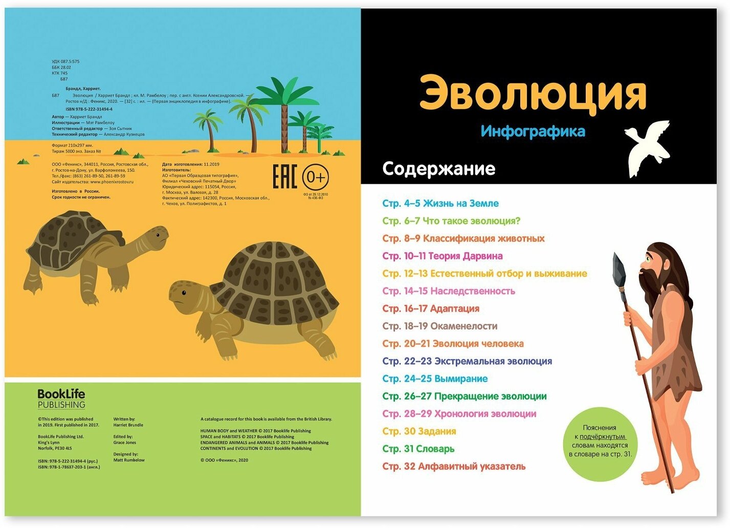 Эволюция. Инфографика (Брандл Харриет) - фото №17