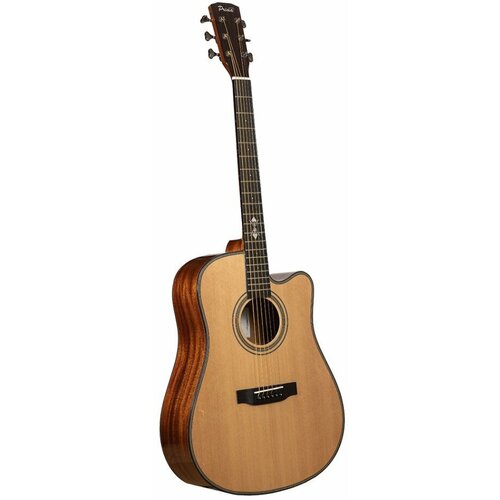Акустическая гитара Prima MAG212C акустическая гитара prima mag212c