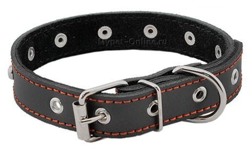 Ошейник для собак кожаный с украшениями, черный HOMEPET 30 мм 41-53 см - фотография № 1