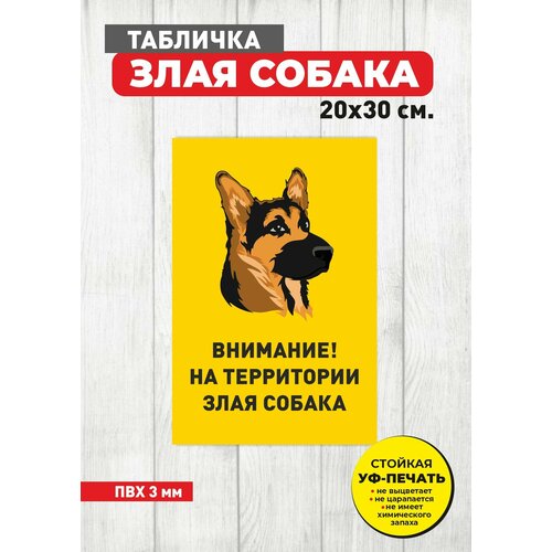 Табличка информационная на ПВХ Осторожно Злая собака, желтый цвет, размер 20х30 см табличка информационная на пвх осторожно злая собака синий цвет размер 20х30 см