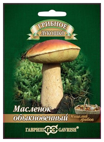 Гавриш Масленок на зерновом субстрате, большой пакет, 15 мл