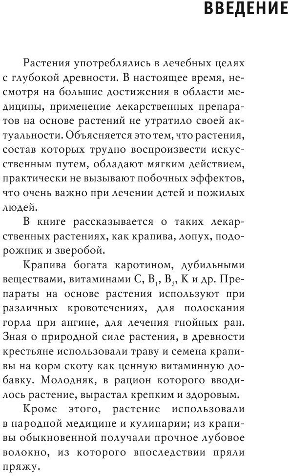 Крапива лопух подорожник зверобой - фото №8