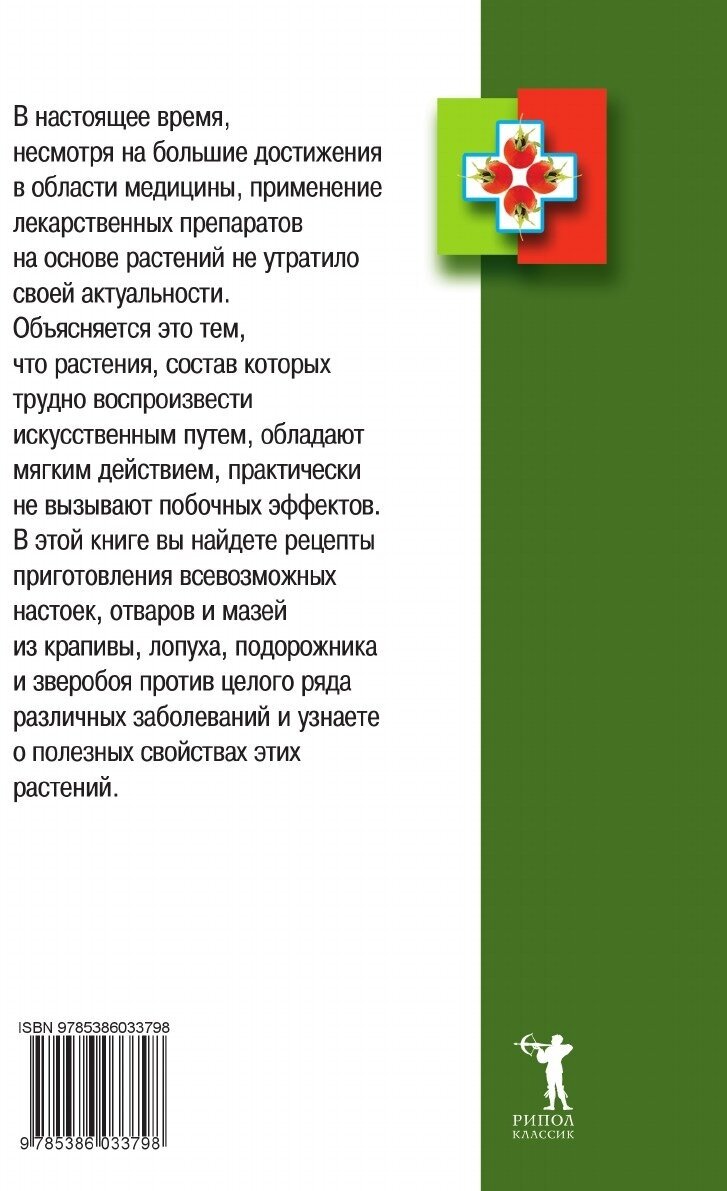 Крапива лопух подорожник зверобой - фото №3