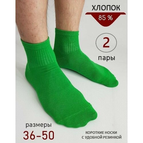Носки  унисекс BIZ-ONE, 2 пары, размер 46-47, зеленый