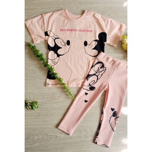 Комплект одежды Zara, футболка и легинсы, спортивный стиль, размер 4-5 лет/110, розовый