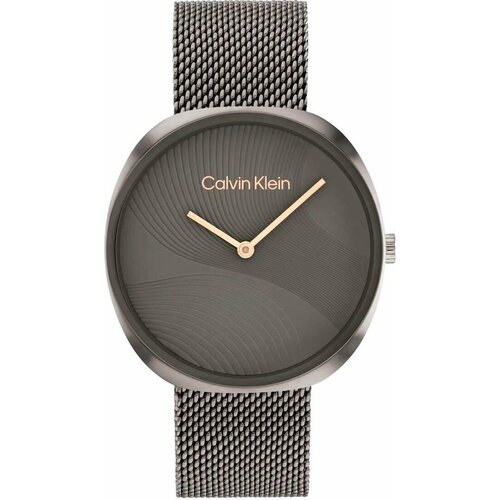 Наручные часы CALVIN KLEIN Швейцарские наручные часы Calvin Klein 25200248, серый