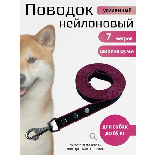 Поводок для собак