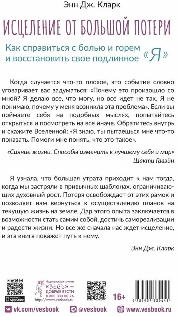 Исцеление от большой потери. Как справиться с болью и горем и восстановить свое подлинное «я» - фото №3