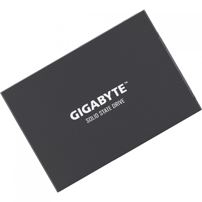 Твердотельный накопитель GIGABYTE 256 ГБ SATA SSD 256GB (GP-GSTFS31256GTND)