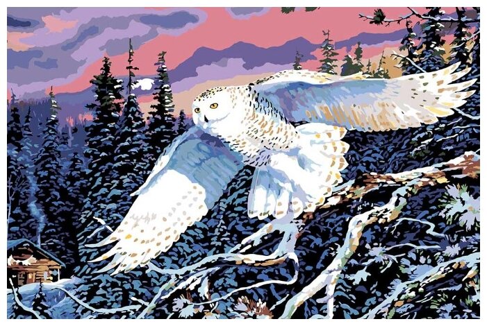 Картина по номерам "Сова в зимнем лесу", 40x60 см