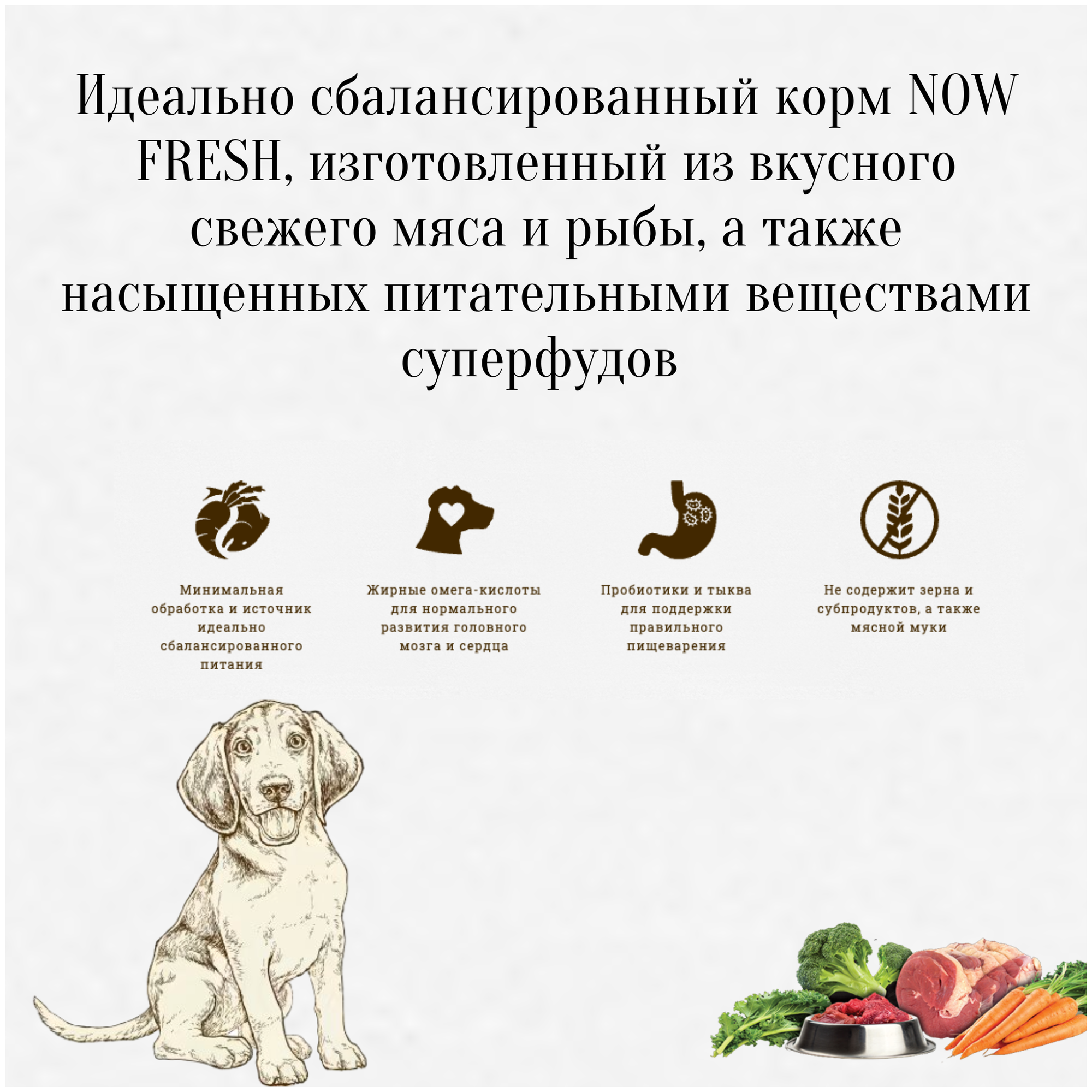 NOW Fresh корм для щенков, беззерновой, с индейкой, уткой и овощами (1,59 кг) - фото №8