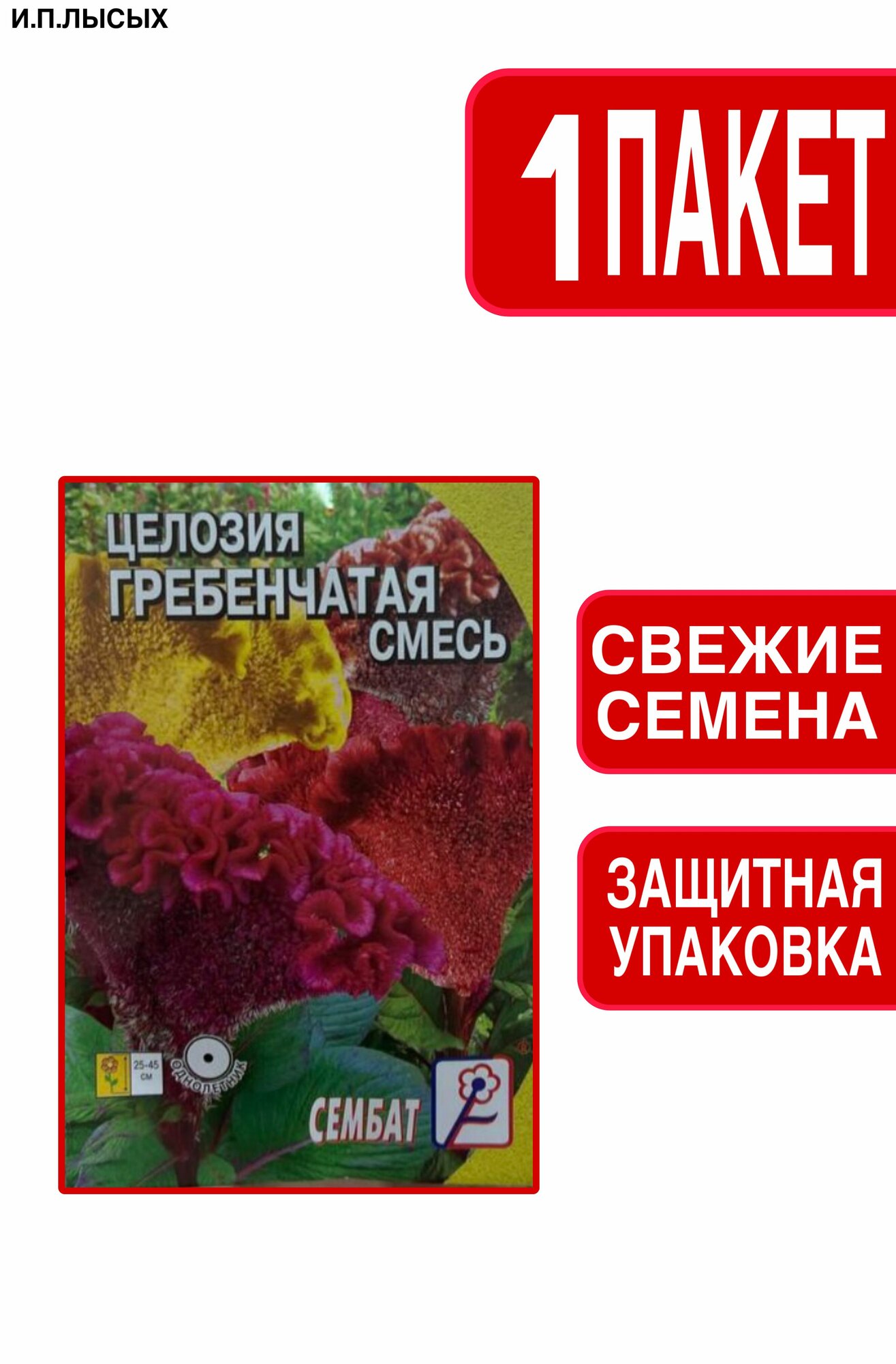 Семена Целозия 