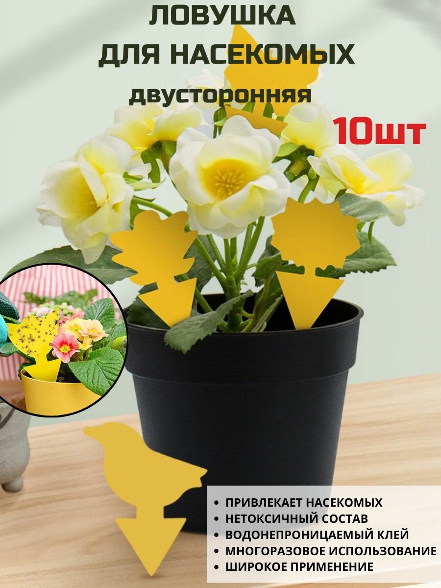 Ловушка для насекомых клейкая в цветы 10 шт./комнатные растения
