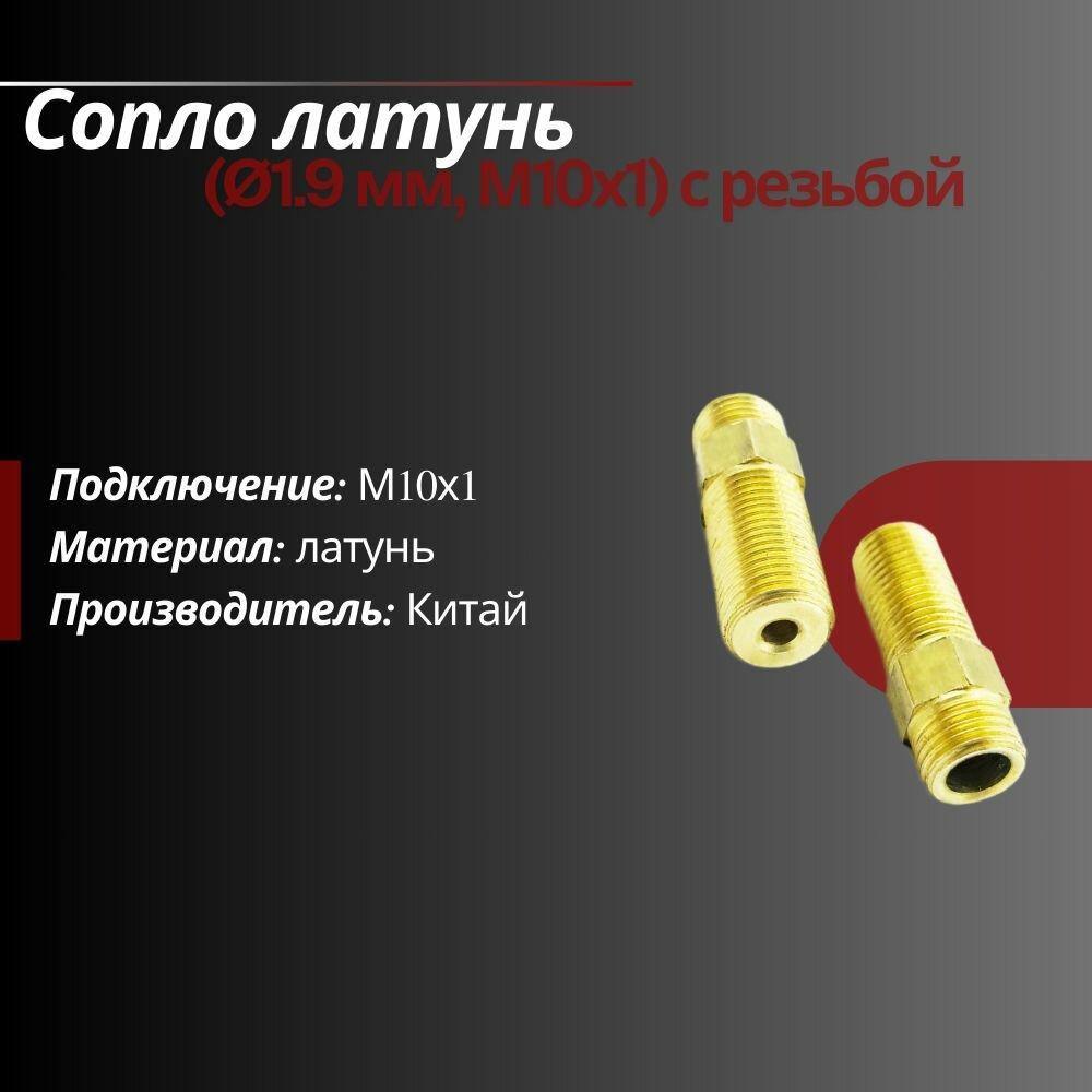 Сопло латунь (М10х1) с резьбой отверстие 19 мм: 2 шт