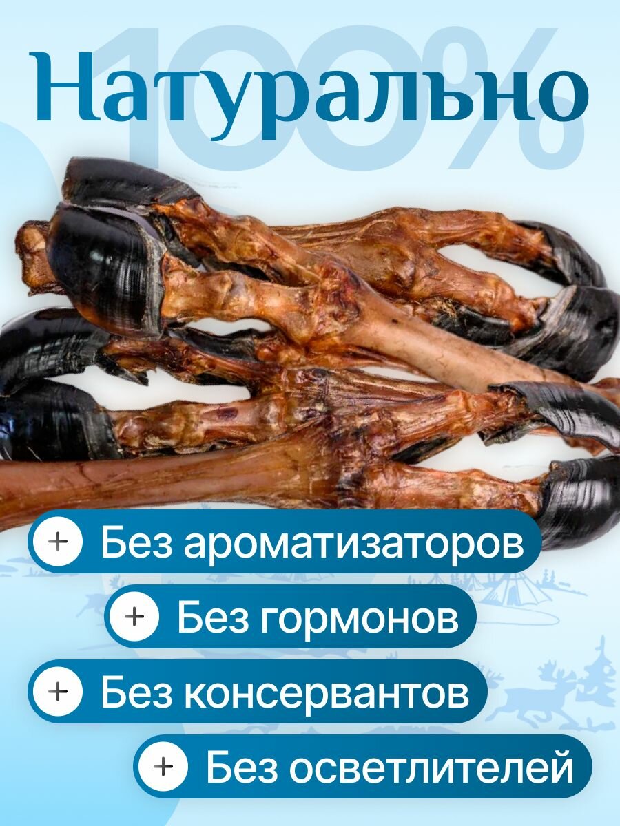 Нога оленя для средних пород 4 штуки лакомства для собак, полезные вкусняшки, Паюта — фото 1