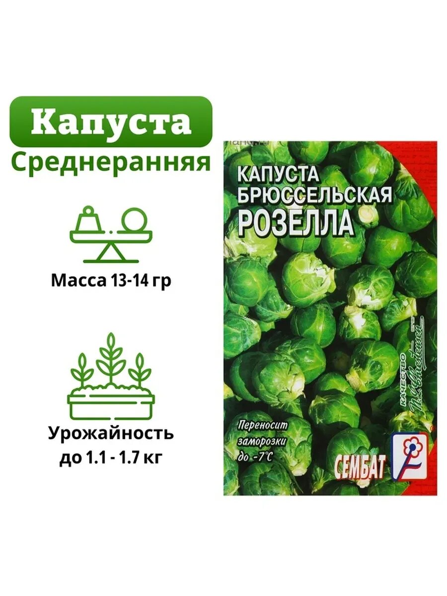 5 упак Семена Капуста брюссельская 