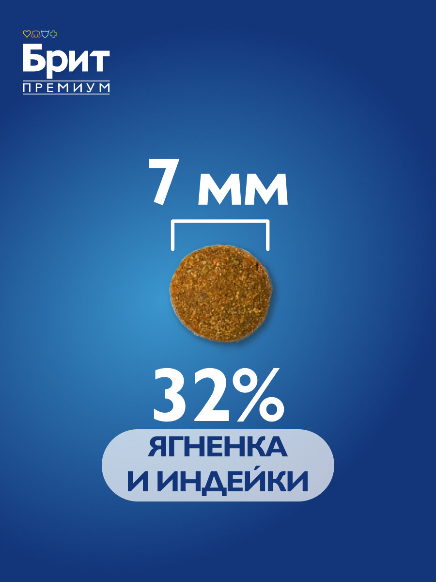 Сухой корм с ягненком и индейкой для кошек "Cat Sensitive", 2кг BRIT PREMIUM — фото 1