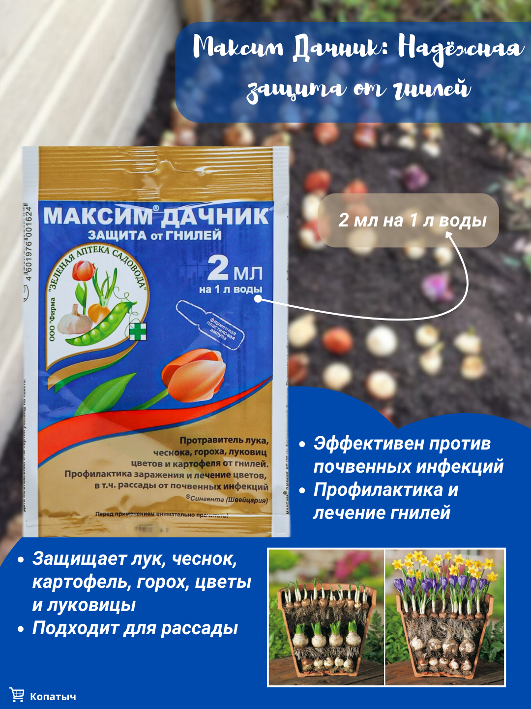 Фунгицид Максим-Дачник от гнилей и почвенных инфекций, 2 мл